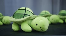 PathSolutions stuffy turtle